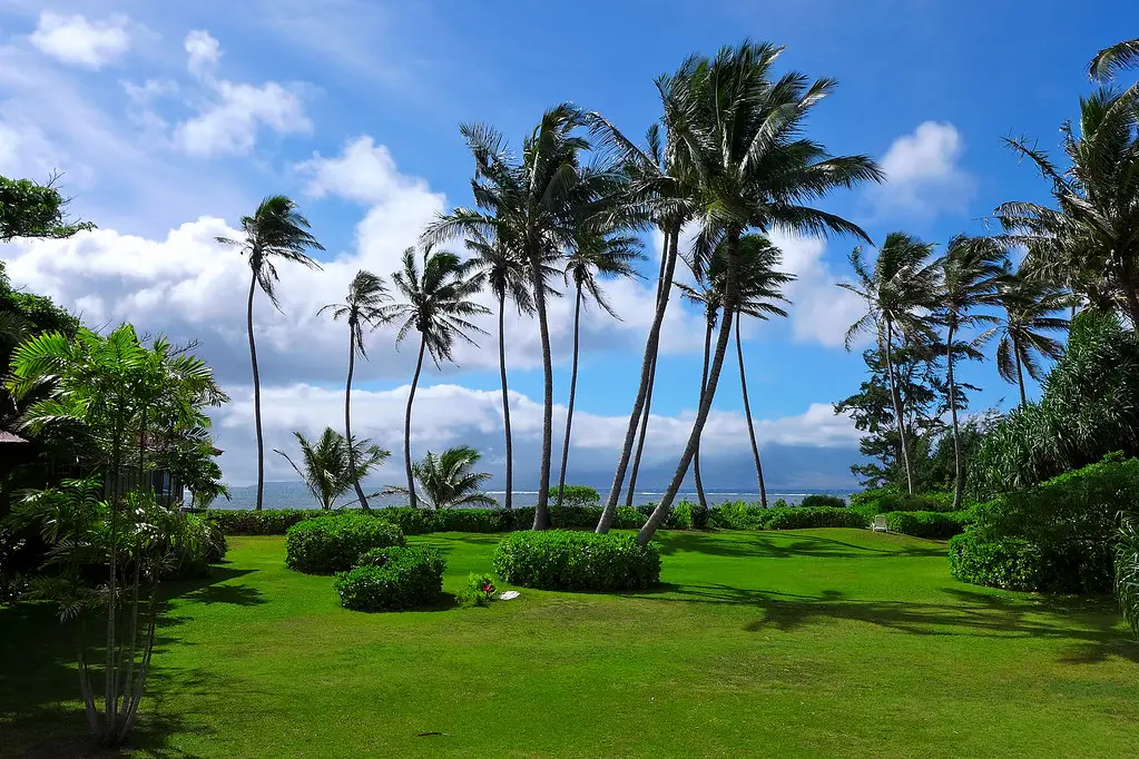 Pros And Cons Of Living On Molokai