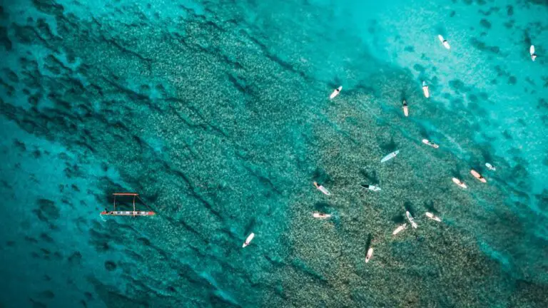 Pros E Contras Do Turismo Na Gran Barreira De Coral Ablison 